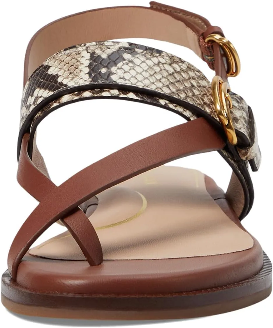 Cole Haan Women's Anica Lux Buckle Flat Sandal